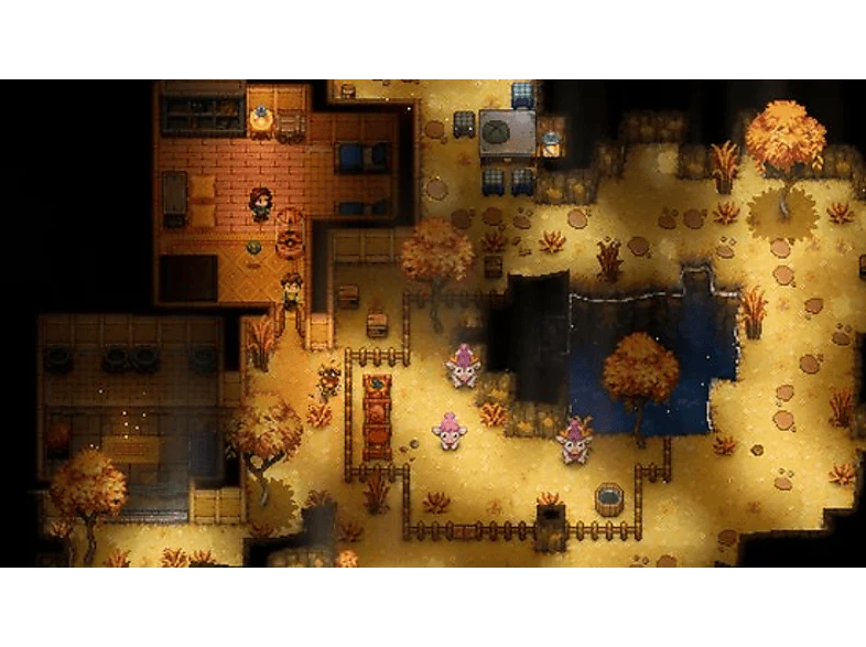 Image du produit 7