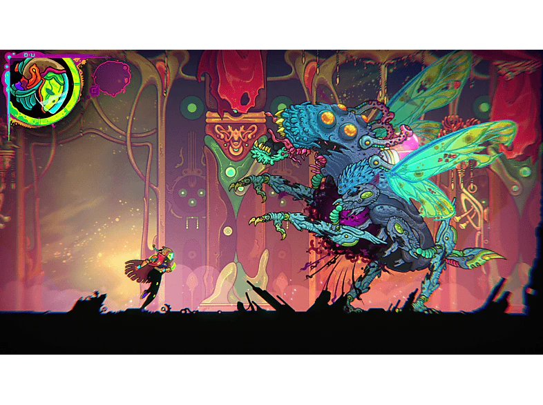 Image du produit 6