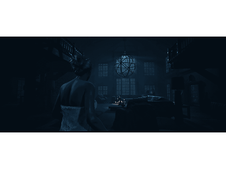 Image du produit 12